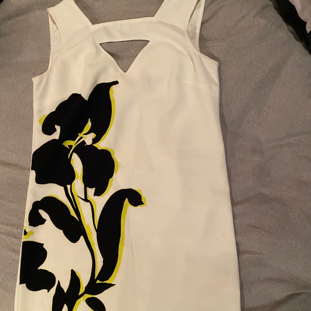 Banana republic Dress